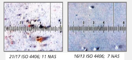 Mikroskopska fotografija pri 100x povećanju